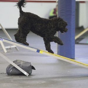 Meet your Posher, Sue